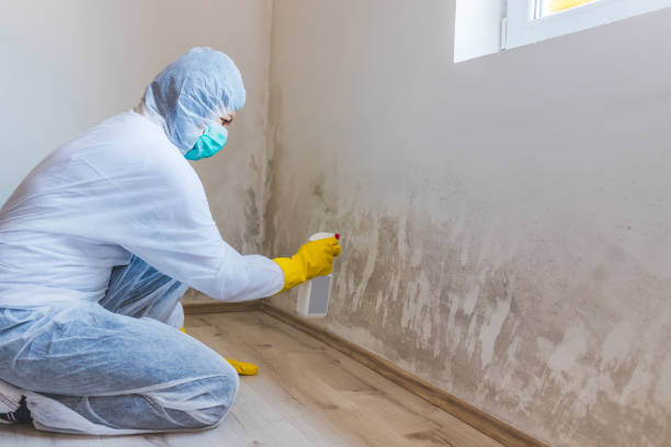 Bathroom Mold Removal assessment in Oakdale bathroom